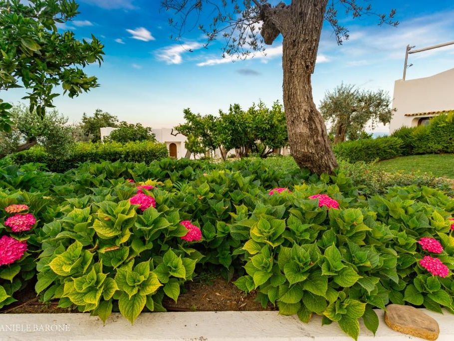 Italie Midden Italie%CC%88 Abruzzo Vasto Baia Delphis Resort 203301496