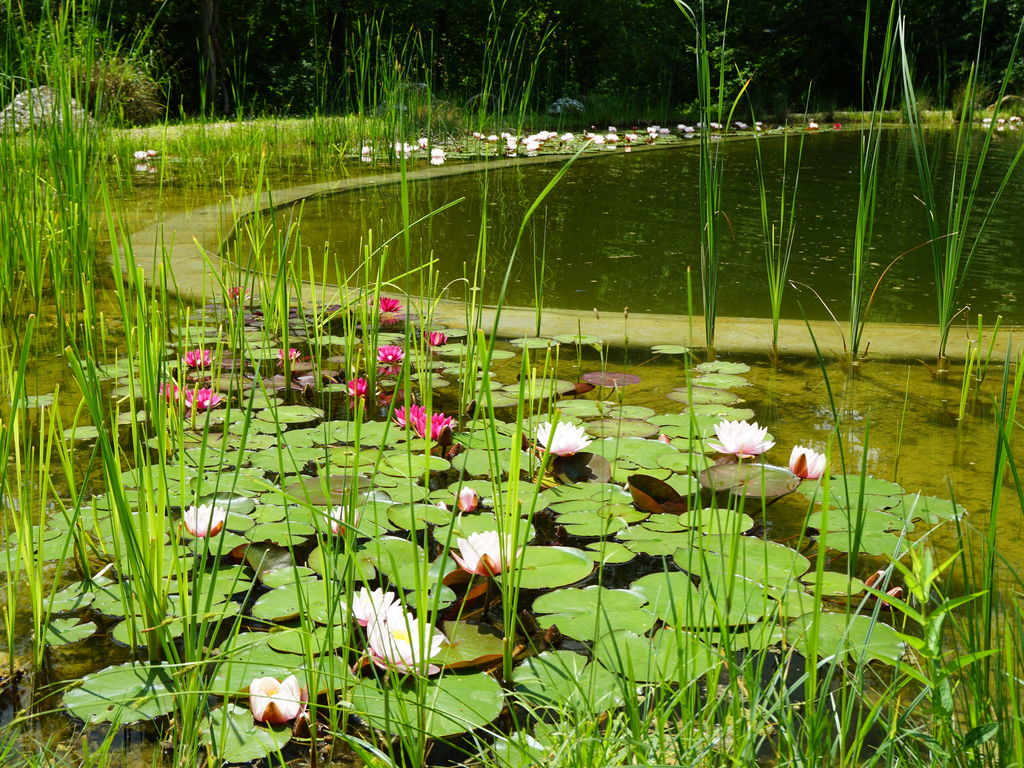Italie Zuid Italie Campania Ravello Monte Brusara Relais