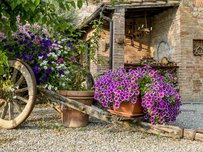 Italie Midden Italie Toscane Sovicille casa di campagna in toscana CRY_3548