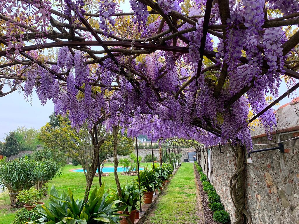 Italie Zuid Italie Campania Ravello Monte Brusara Relais