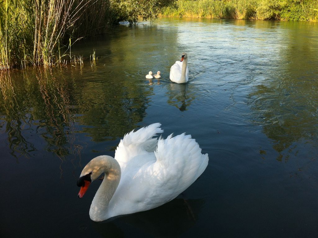 Italie Zuid Italie Campania Ravello Monte Brusara Relais