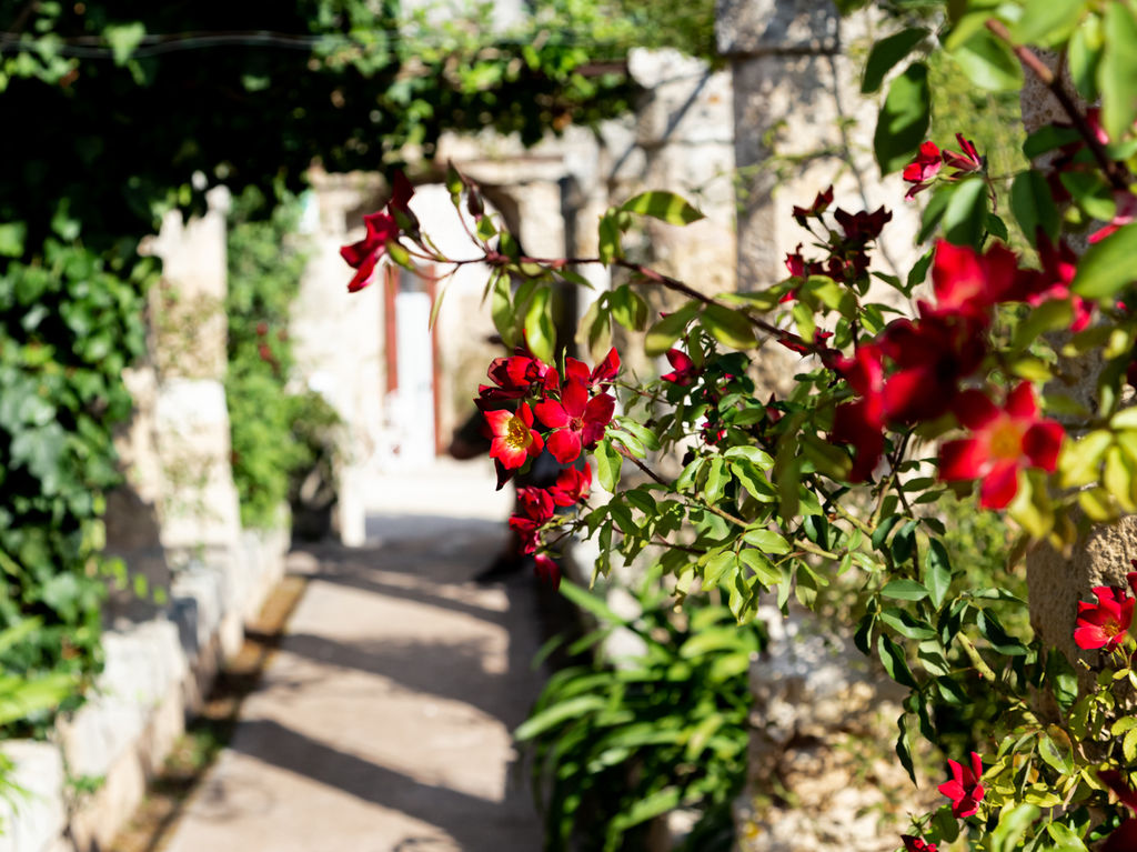 Masseria Garrappa